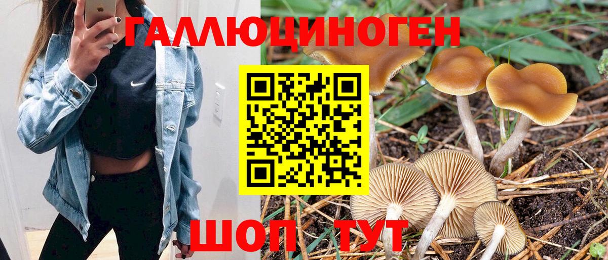 Холмск  Галлюциногенные грибы Magic Shrooms  Вход с VPN  Галлюциногенные грибы мухоморы 